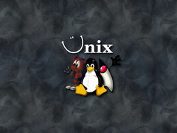 unix(jng)̳