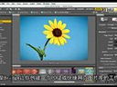 photoshop cs6T̳