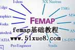 femapA(ch)̳