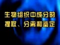 (sh)(yn)ȫҕl