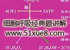 (x)(jng)}v