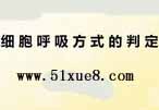 (x)ʽД෽