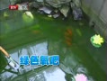 ՚҃(ni)ֲ]