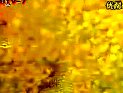 С[T?jin)ôó?/><span>С[T?jin)ôó?/span></a></li><li><a href=
