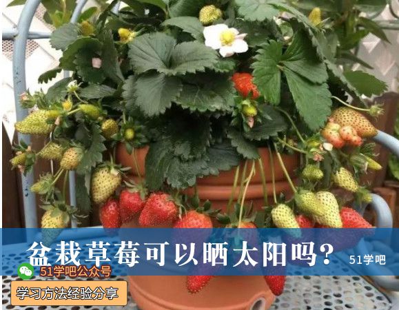 Բݮԕ̫ꖆ