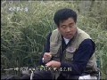 cctv~̌Wҕl