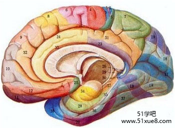 <a href=/jiaochengziyuan/gaozhongleijiaocheng/gaosan/ target=_blank class=infotextkey></a>W(xu)ӛķ