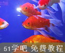 ^p~B(yng)ֳg(sh)ҕl