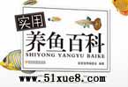 ͥ~B(yng)~R