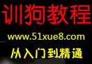 (jin)Ӗ(xn)g(sh)̳
