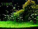 ˮݸ_cSo(h)ҕl