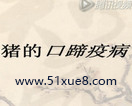 iЧηv