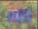 ޻߮a(chn)༼g̳