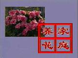 ͥܵĲx(chng)μg(sh)̳
