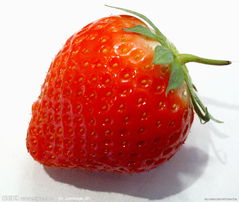 ݮNֲg(sh)Ӗ(xn)̳