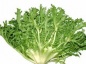 ĵķNֲ