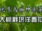 ϵ༼g(sh)ҕl