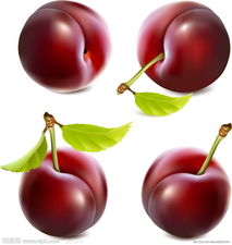 ӷNֲg(sh)ҕl