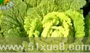 y䷽ʩʼg(sh)Ӗ(xn)̳