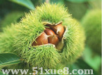 ļ޽Ӽg(sh)ҕl