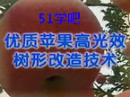 O߹Чθ켼g(sh)
