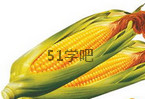 ׳߮a(chn)Nֲg(sh)