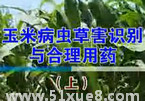 ײx(chng)ݺμg(sh)
