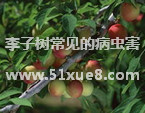 Ә䳣ҊĲx