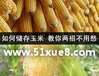 ի@ô(ch)