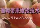 ю޽Ӽg(sh)̳