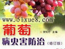 ѲxӖ(xn)ҕl