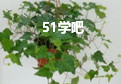 ٵB(yng)ֳע