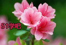 N෽̳