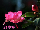 зצmB(yng)ֳҕl̳