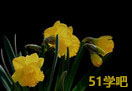 ˮB(yng)ֳ̳
