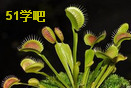 ͥôNֲωݽ̳