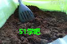 Nѷʺ(jin)η̳