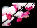 տώW(xu)ҕlȫ