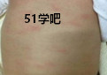 ЋDLԓ_ί