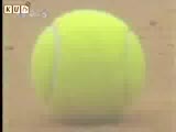 ˡ̩W(wng)̳