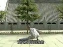 С_hȭ̌W(xu)ҕl