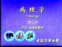 t(y)ƴW(xu)W(xu)ҕl