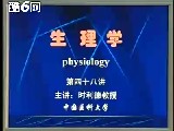 W(xu)̌W(xu)ҕl