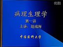 W(xu)̌W(xu)ҕl