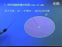 W(xu)vnҕl
